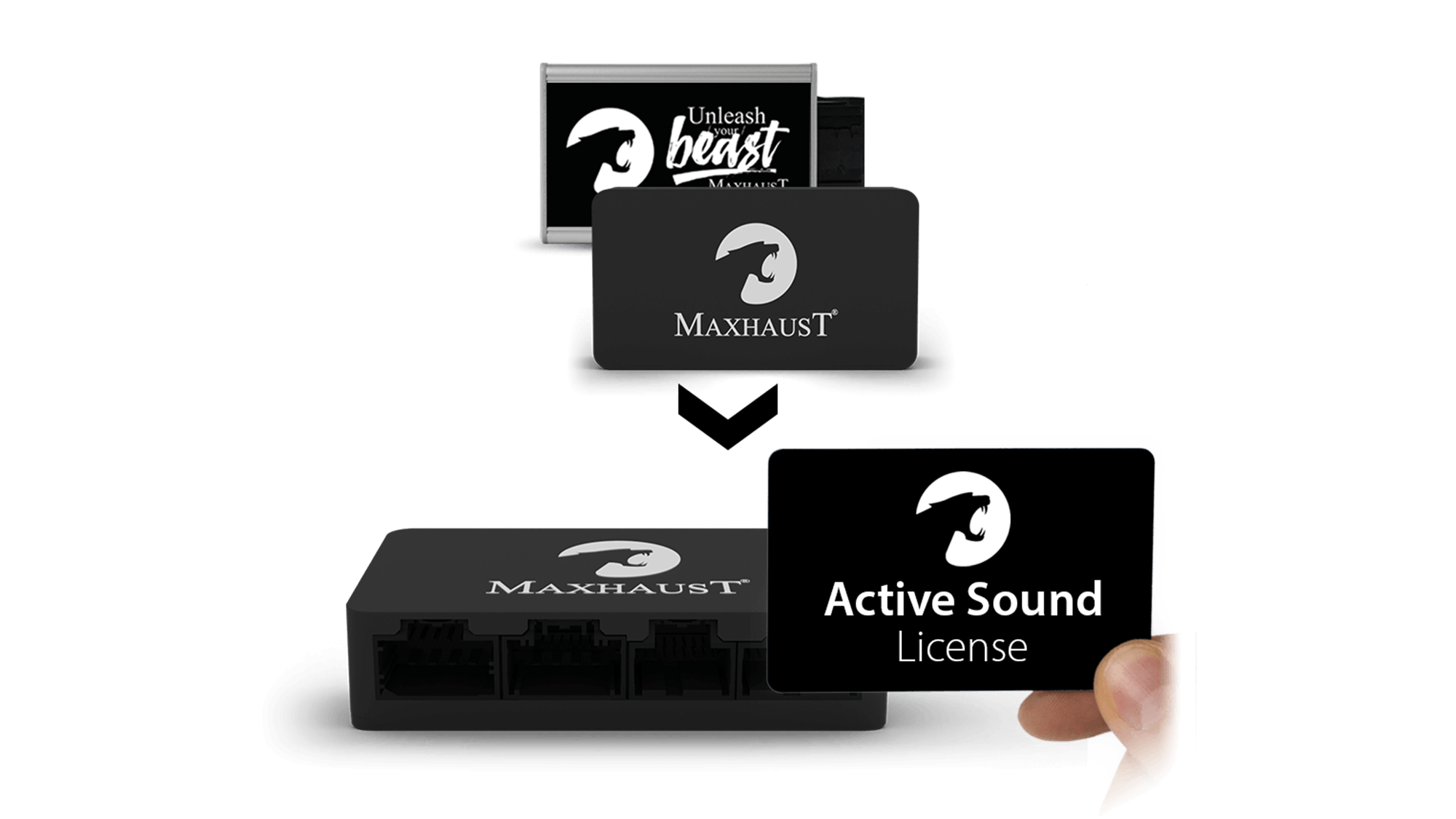 UPGRADE | Active Sound v3 to v4 incl. Bridge, Adapter, License (AS)